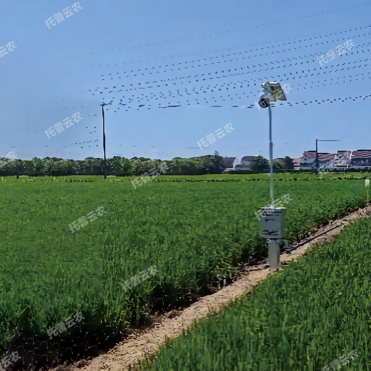 TP-GESB2.0自動趕蛾智能統(tǒng)計(jì)桿