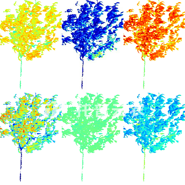 果樹解析圖(水?。?jpg