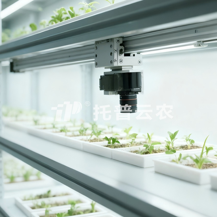 人工氣候室植物表型監(jiān)測系統(tǒng)TP-PlantR